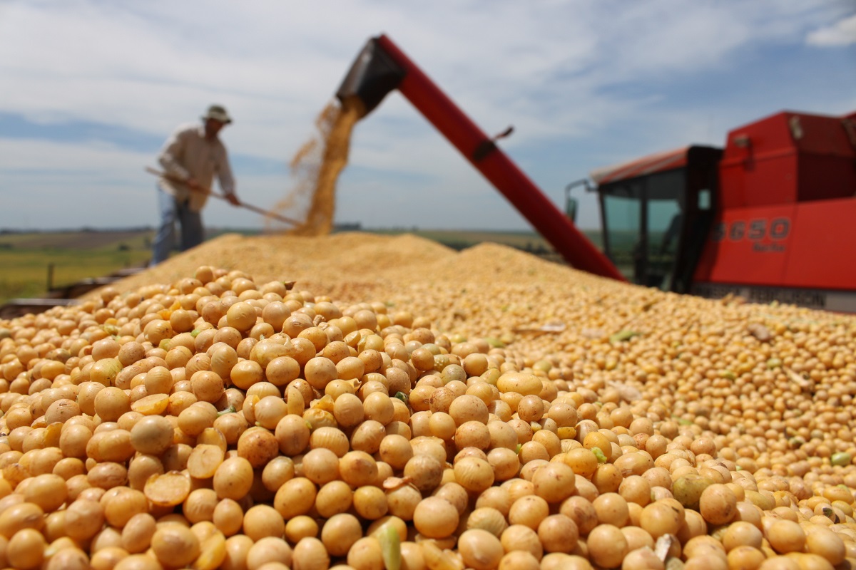 Leia mais sobre o artigo Com participação do presidente da Frenlogi, programa Soja Legal é lançado para fomentar sustentabilidade e boas práticas no cultivo do grão