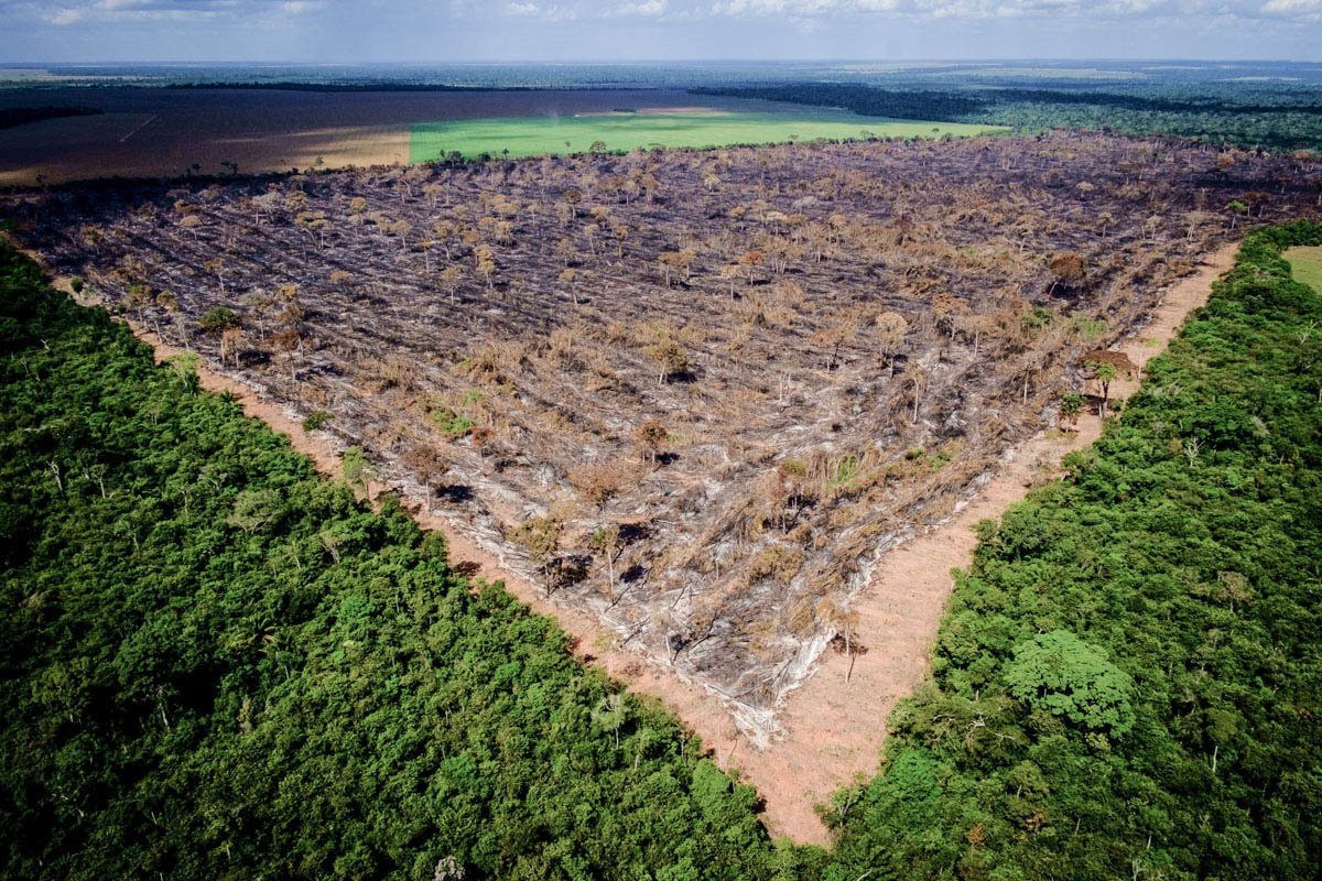 Leia mais sobre o artigo Crise ambiental: estudo aponta que desmatamento afetou regime de chuvas e prejudicou agronegócio e exportações brasileiras