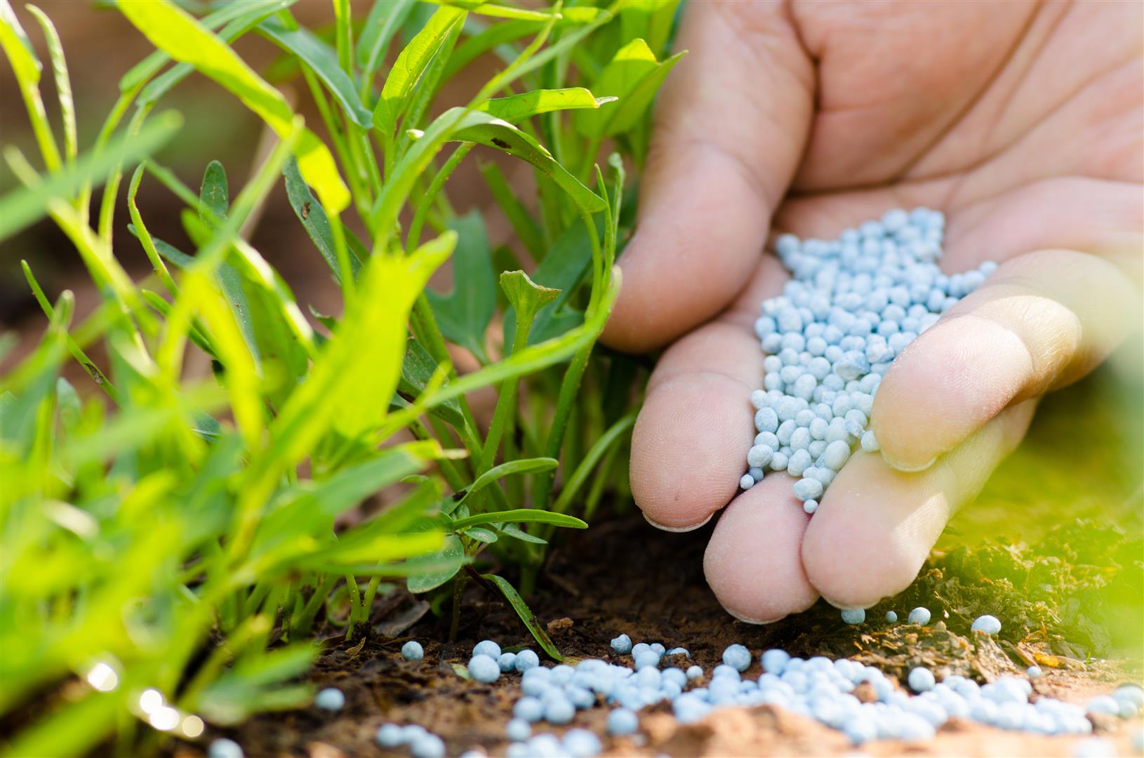 Leia mais sobre o artigo Crise mundial de fertilizantes causará impacto sem precedentes na agricultura, preveem analistas