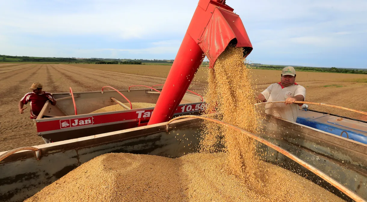 Você está visualizando atualmente Colheita de soja do Brasil avança para 15% da área, diz AgRural